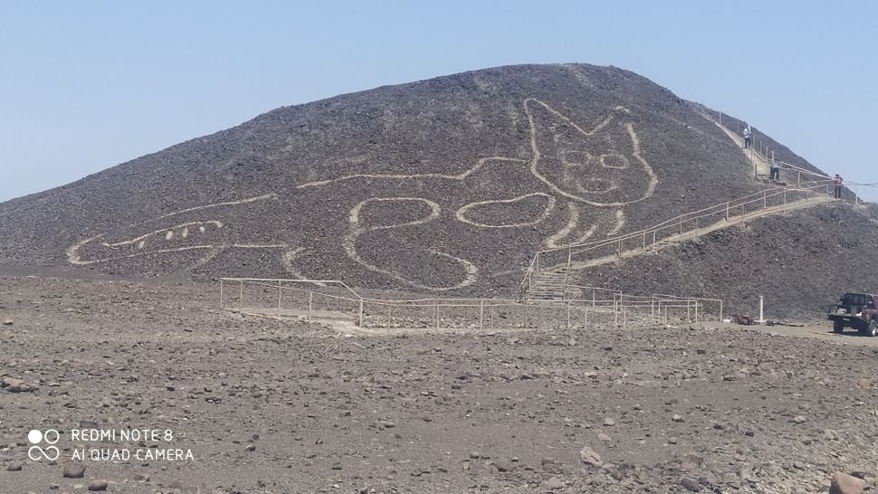 Novo geoglifo da Linha de Nazca descoberto: um gato de 36 metros de comprimento.