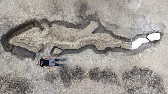 Enorme fóssil de “dragão do mar” de 180 milhões de anos atrás descoberto na Inglaterra.